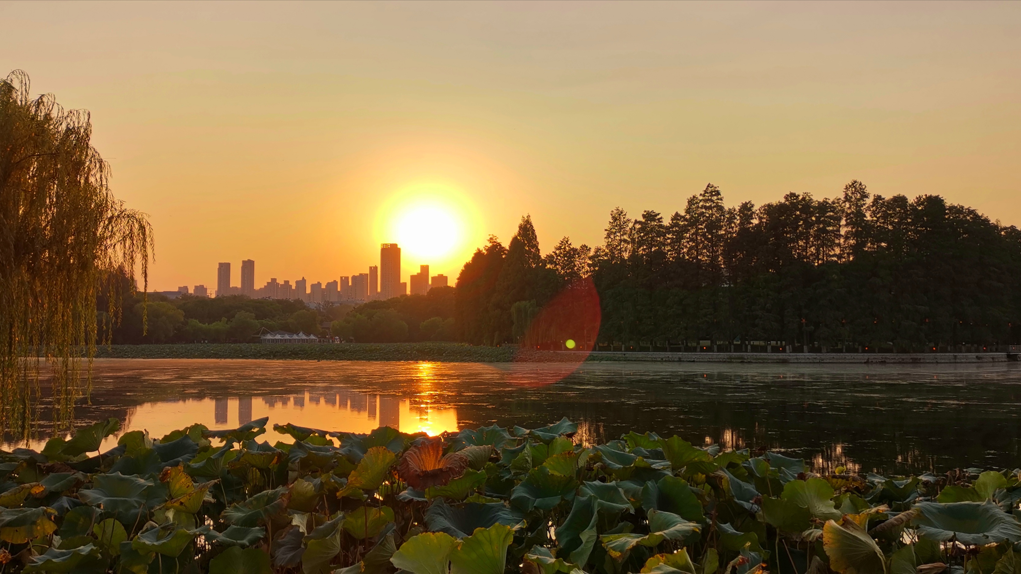 东湖景