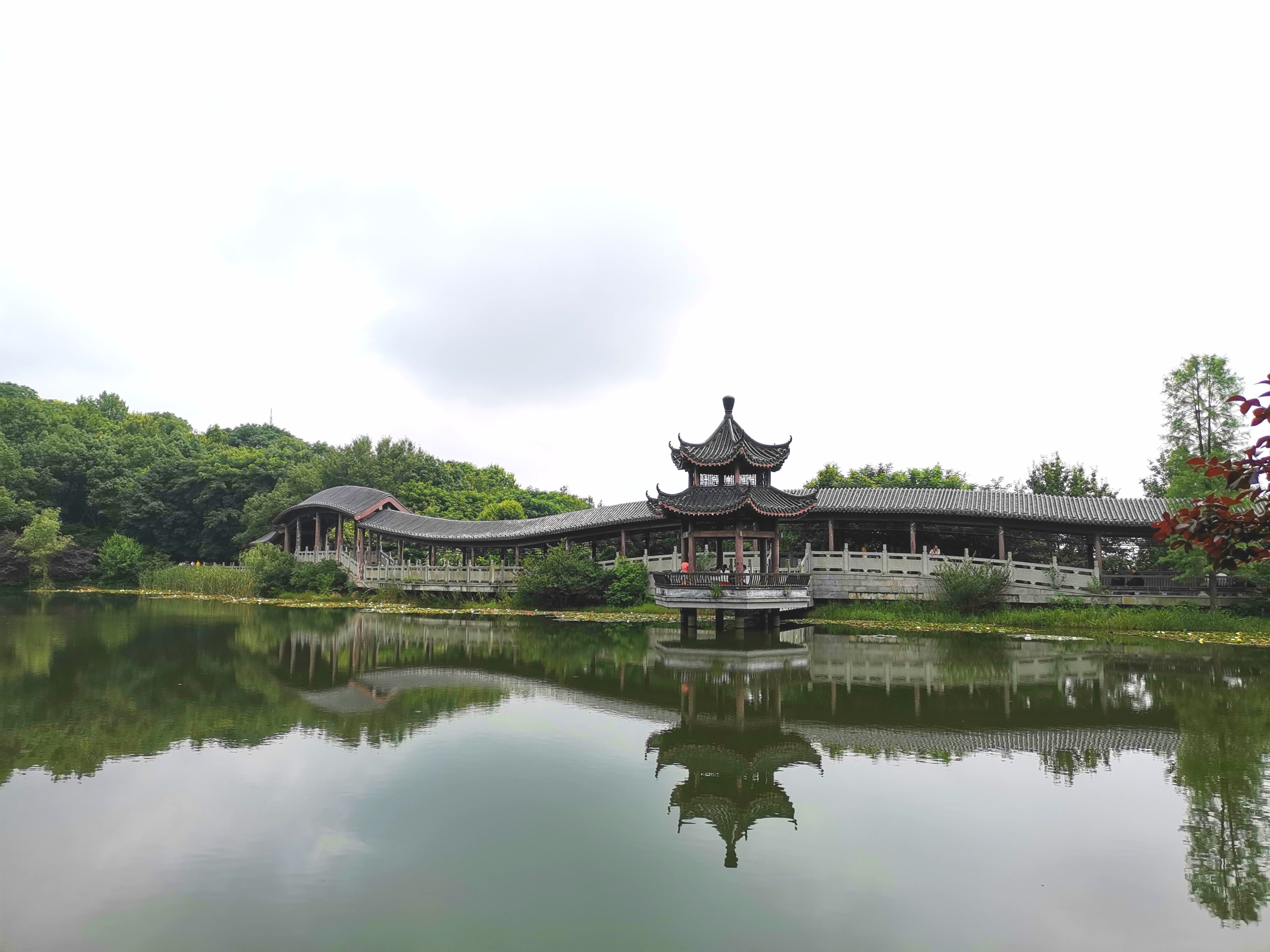 岳麓山景